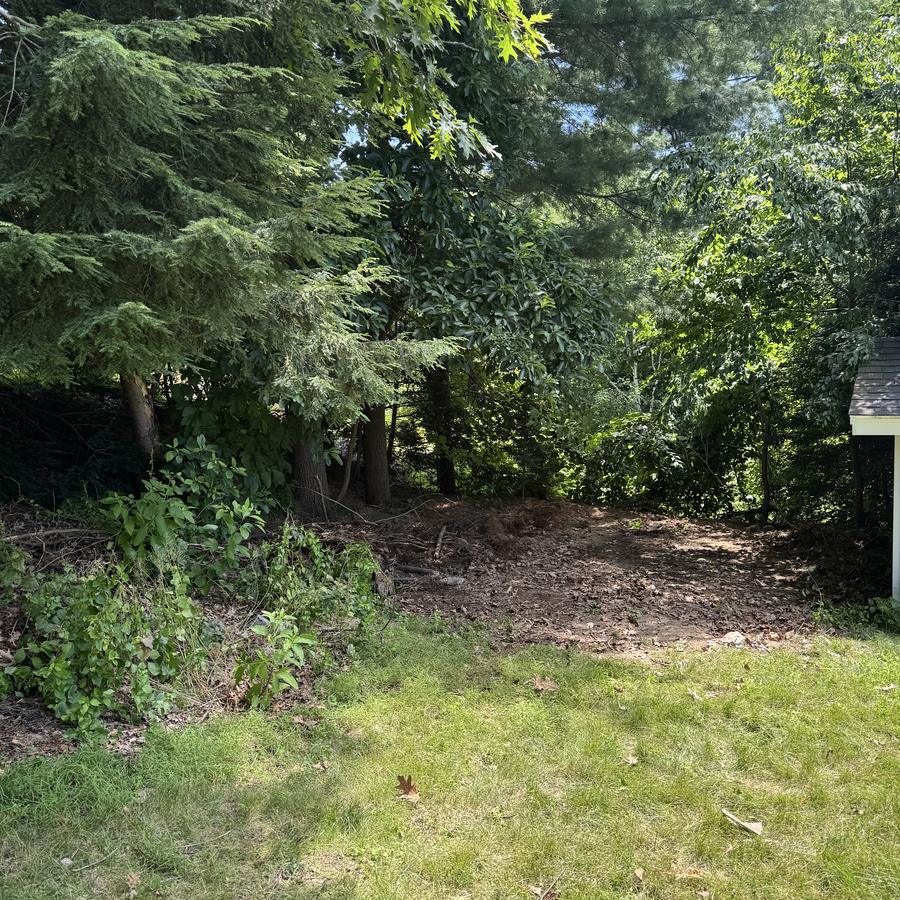 Brush & yard cleanout after — cleared by Joe's Junk Removal & Demolition