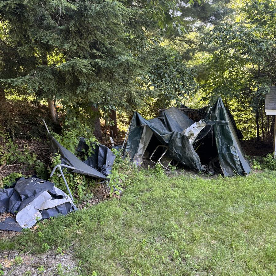 Brush & yard cleanout before — Joe's Junk Removal & Demolition