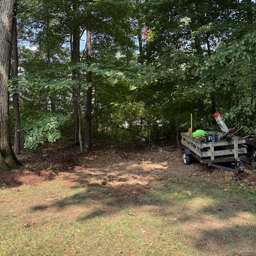 Shed cleanout & demo after — cleared by Joe's Junk Removal & Demolition